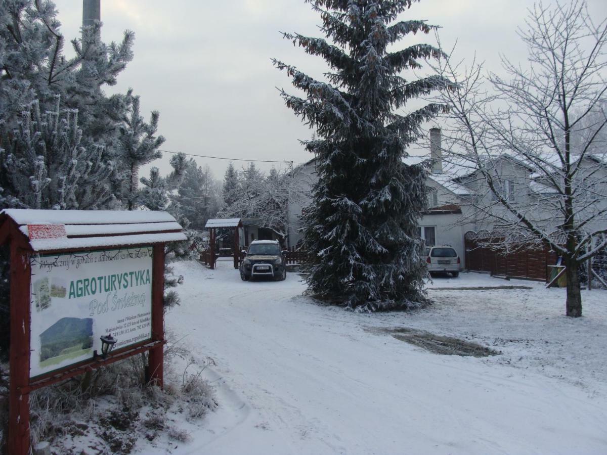 Agroturystyka Pod Sniezna Bystrzyca Klodzka Exterior photo