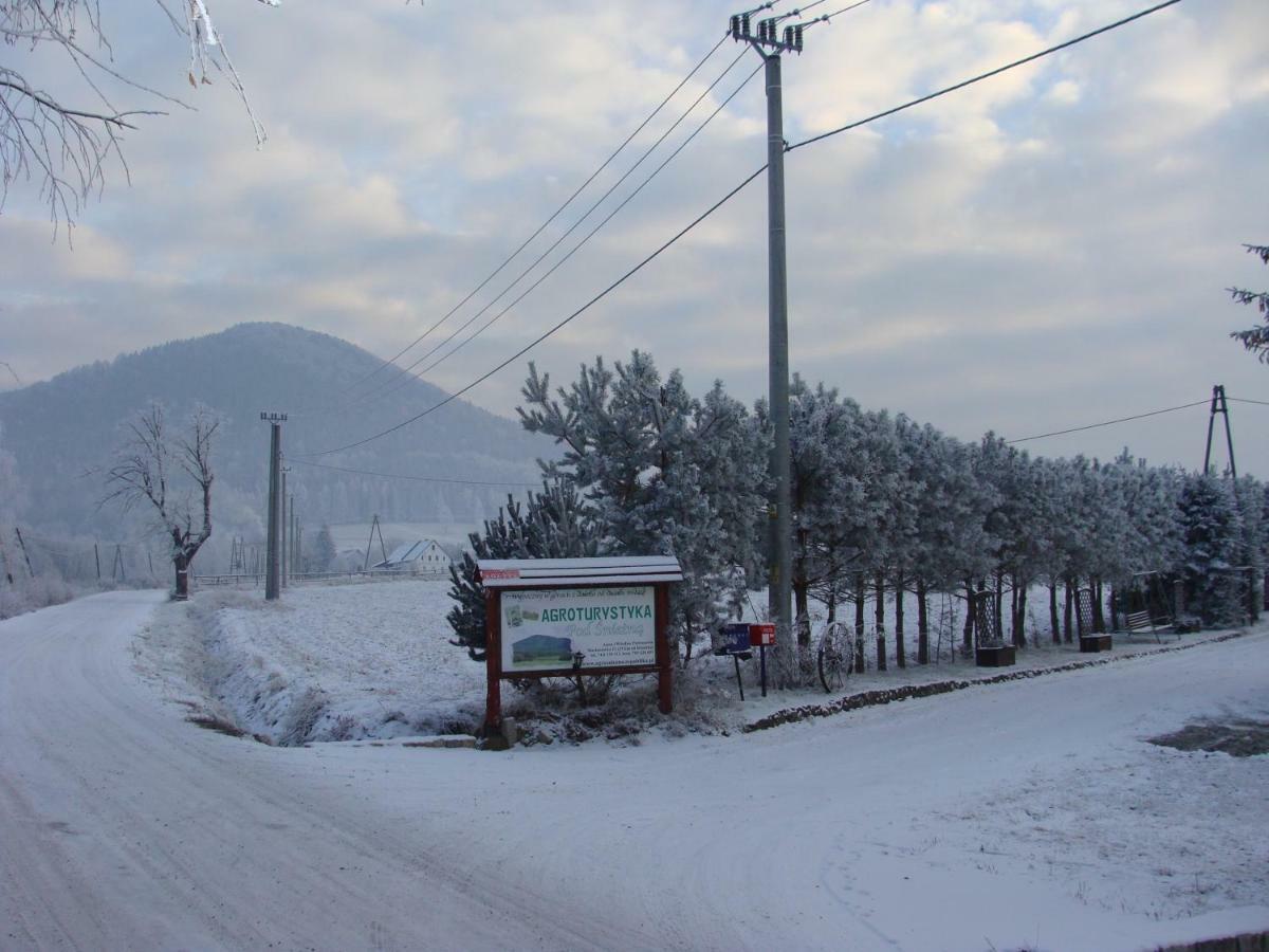 Agroturystyka Pod Sniezna Bystrzyca Klodzka Exterior photo